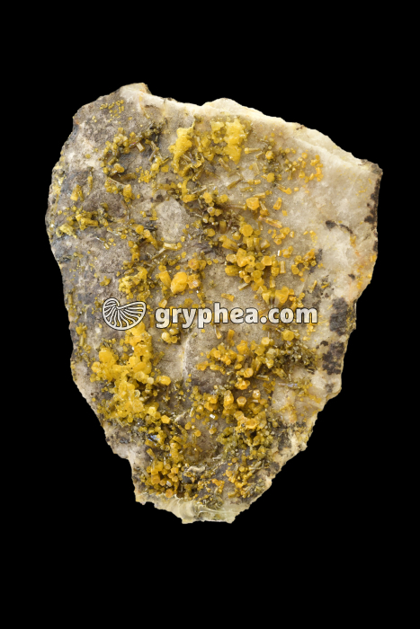 Mimetite jaune-orange (Hat Yai, Thaïlande) - gryphea.com